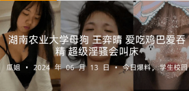 湖南农业大学母狗 王弈晴 爱吃鸡巴爱吞精 超级淫骚会叫床